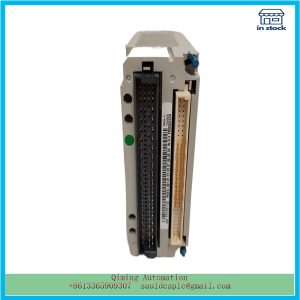 EMERSON  1C31113G01