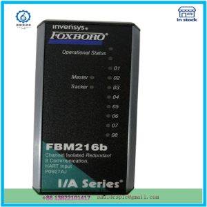 FBM216b    | MODULE CARD SYSTEM INTEGRITY